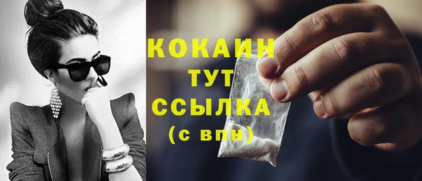 apvp Богородицк