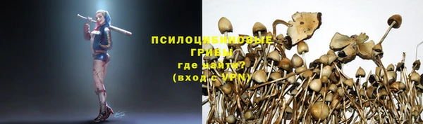 мескалин Богданович