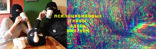 мескалин Богданович