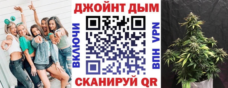 Марихуана сатива  как найти   Михайловка 